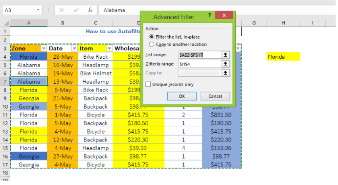 How to use Autofilter in Excel Excelchat Excelchat