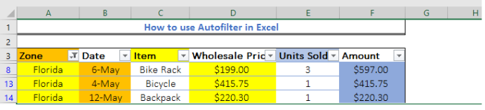 how-to-use-autofilter-in-excel-excelchat-excelchat