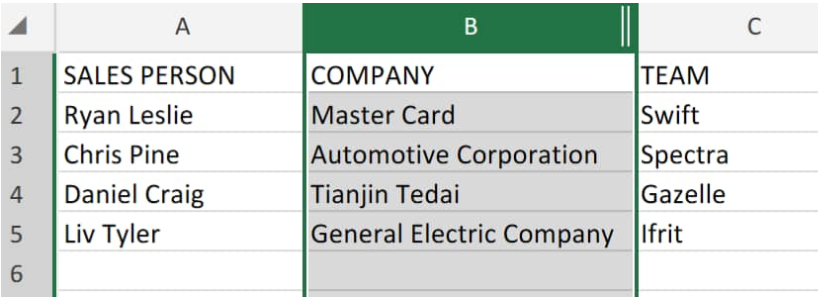 excel resize cell to fit text